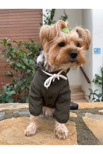 VERAPAWS Small Breed Hooded Fur Dog Coat Khaki – Winter, Cold-Proof, Stylish Dog Apparel