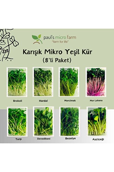 Pauls Micro Farm Haftalık Mikro Yeşil Kür 200 gr