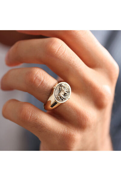 Sembol Gold Erkek Yüzük 14K HOrse Onix
