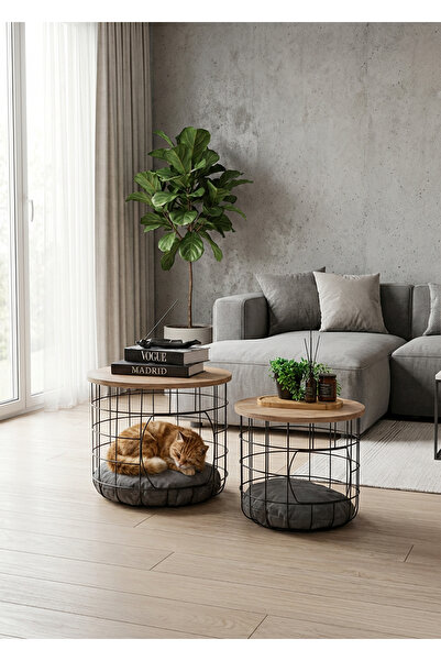 Uyan Ev Ürünleri UYAN EV ÜRÜNLERİ 2 Li Kedi Yuvalı Sepet Sehpa Metal Gövde Ah...