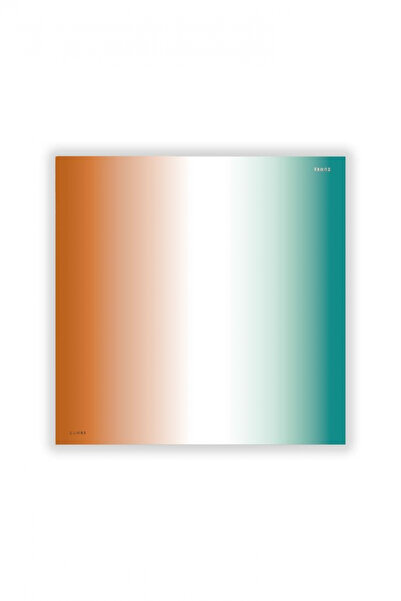 Zühre Шарф з переходом кольорів з шовкового сатину V20 0075