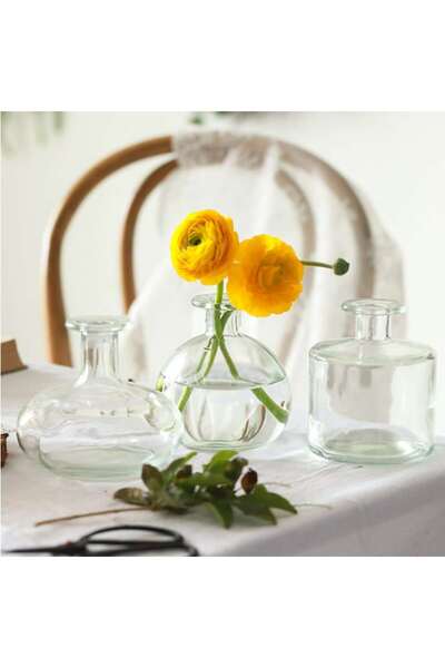 bakgelal Segona Mini 3'lü Şeffaf Cam Vazo Seti, İskandinav Minimalizmi ile Ta...