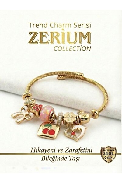 ZERİUM Modern Steel Stylish Women's Charm Steel Bracelet Bow Cherry and Dolph...