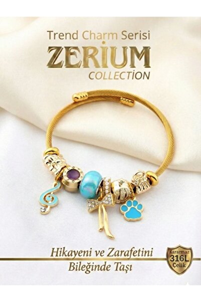 ZERİUM Modern Steel Stylish Women's Charm Steel Bracelet Bowknot Paw and Musi...