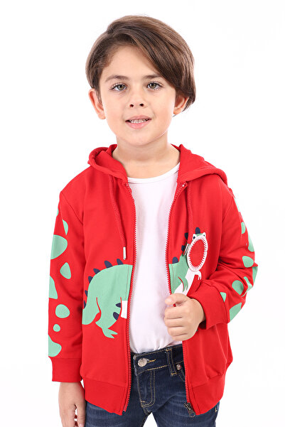 Toontoy Boy's Hooded Zippered Printed Knitted Cardigan - 2 Yarns