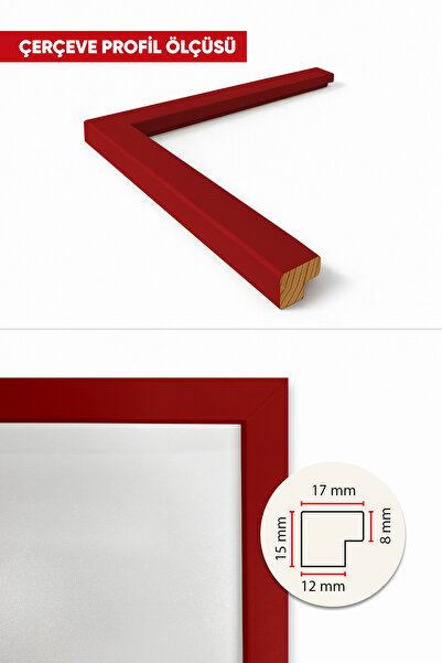 HOMEPACK 20X30 CM Kırmızı Ahşap Çerçeveli Poster Çerçevesi, Boş Çerçeve, KIRM...