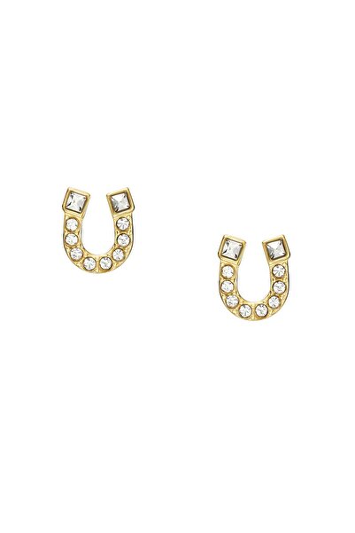 Fossil JF04908-710 Kadın Küpe