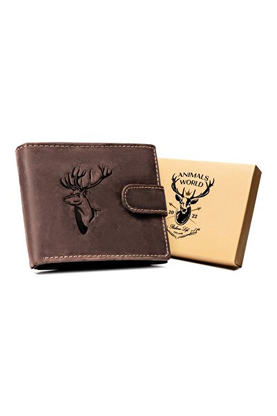 Always Wild rovicky273560