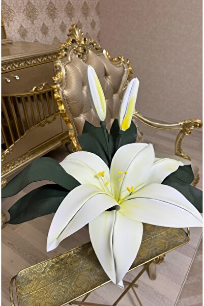 Lavinya Tekli Eva büyük boy zambak