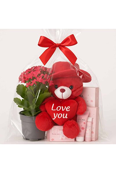 SADOER Cadoul perfect pentru ea