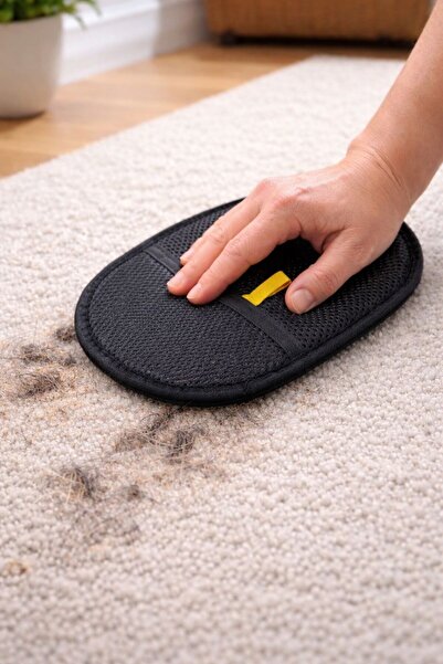 OEM Magic Rug & Upholstery Cleaning Glove – Ideal for Home, Car, Sofa and Tex...