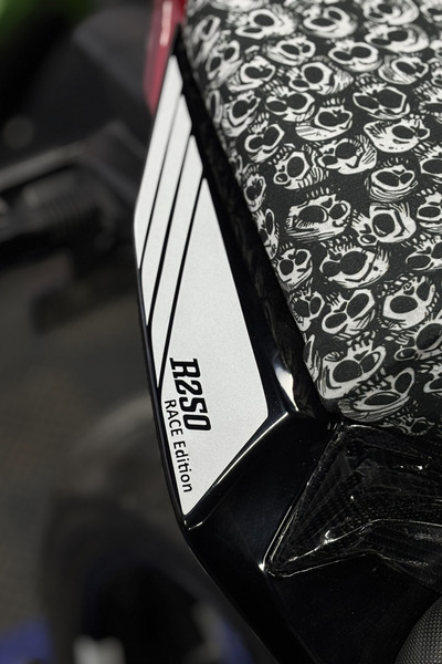 Banxtre مجموعة ملصقات الذيل المتوافقة بالحجم الكامل (يمين ويسار) لـ RKS R250