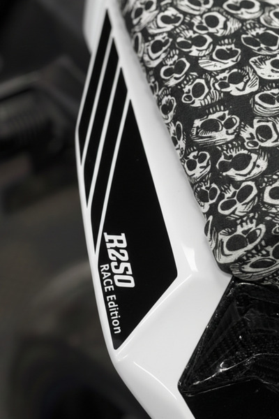 Banxtre مجموعة ملصقات الذيل المتوافقة بالحجم الكامل (يمين ويسار) لـ RKS R250