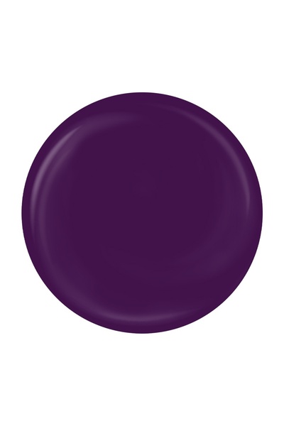 LUXORISE Perfect Line Nail Art Gel - Electric Purple, 5ml