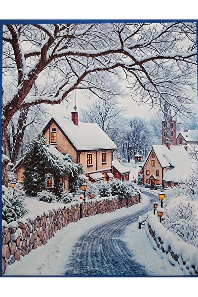 success Kanaviçe Nakış Kiti