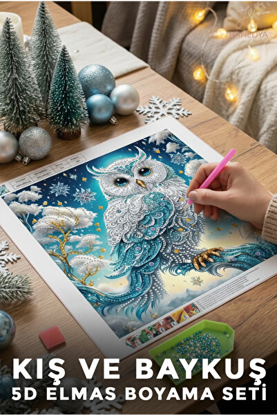 Haneliya Kış ve Baykuş - 5D Diamond Elmas Boyama Seti Sayılarla Boncuk Dizme ...