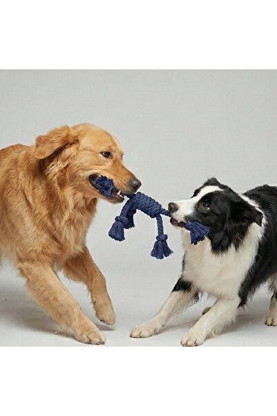 Tailpetz Rope Four-Way Dog Tug-Of-War Toy