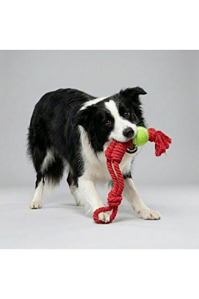 Tailpetz Tennis Ball Dog Tug Toy with Rope Handle