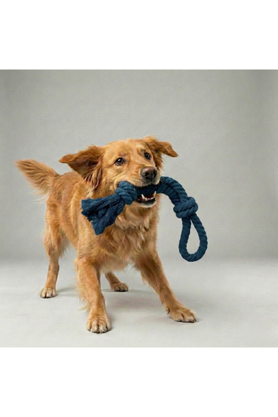 Tailpetz Dog Leash with Holder