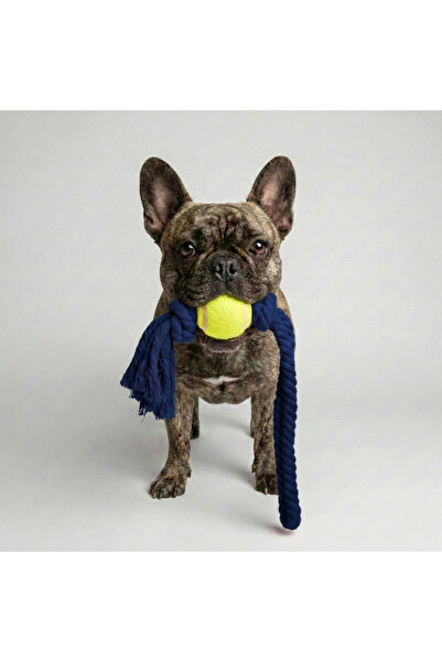 Tailpetz Rope Long Pull Tennis Ball Dog Toy