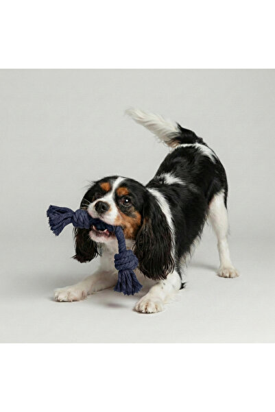 Tailpetz Knotted Dog Chew Toy