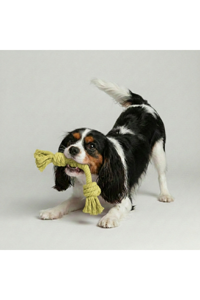 Tailpetz Knotted Dog Chew Toy