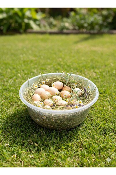 BiSimya Aktar Doğal Gezen Tavuk Yumurtası 30'lu