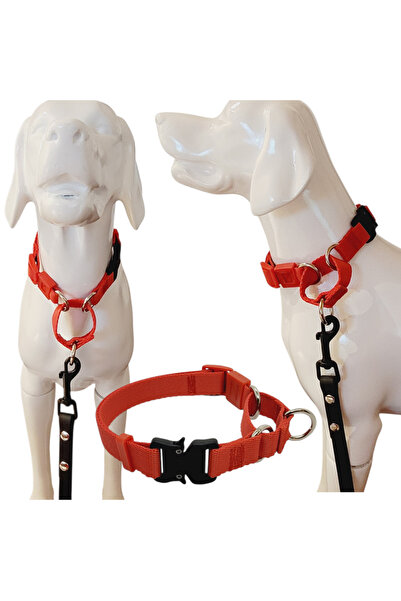 VSLT HANDMADE Handmade-Width 2 Cm. Martingale Training Leash. It Is for Dogs ...