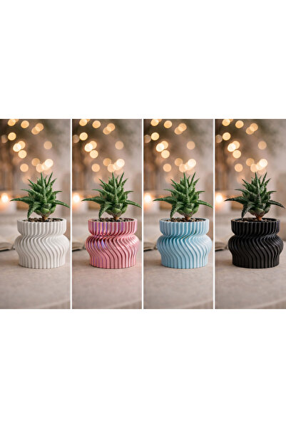 3D Ζελεδάκια σε κουτί