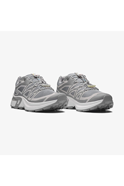 Salomon XT-EVR Kadın Sneaker Alloy L49225500