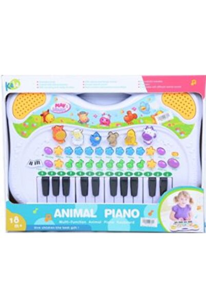 PlayFun Orgă Bebe Multifuncțională