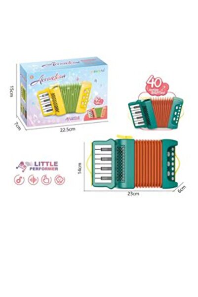 PlayFun Acordeon Electronic pentru Copii
