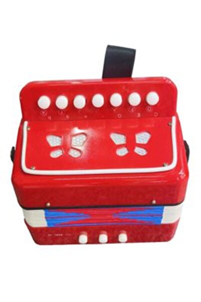 PlayFun Acordeon pentru Copii