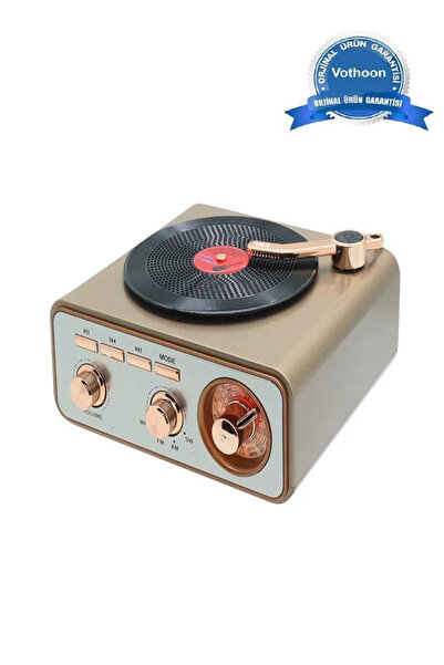 Epilons Metalik Nostaljik Tasarım Plak Çalar Görünümlü Radyolu Bluetooth Hopa...