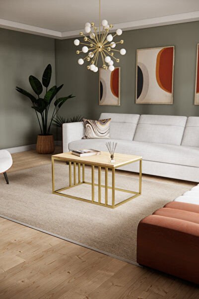 Solto Home SC19-24 Altın Metal Meşe Raf Tasarım Orta Sehpa | Modern Oturma Odası