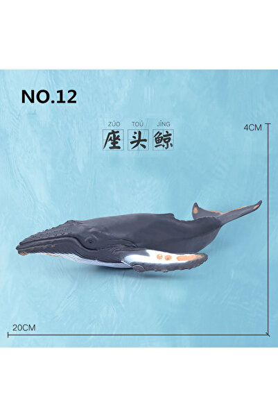 Choice6 حوت أحدب، 12 نمطًا، نموذج محاكاة للحياة البحرية، حوت قرش، حيوانات بحر...