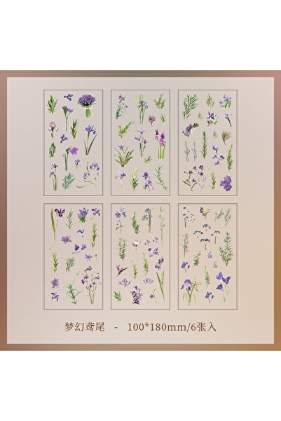 Choice3 6 ملصقات شفافة من مادة PET من JIANQI، 6 قطع/عبوة، مواد سكرابوكينغ، اص...