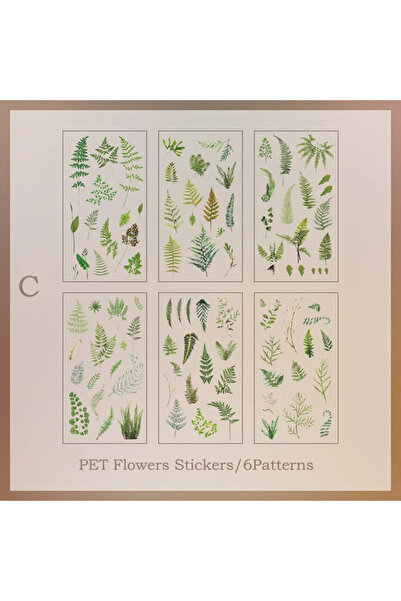 choice2 ملصقات شفافة من مادة PET، 6 قطع/عبوة، مواد سكرابوكينغ، اصنع بنفسك دفت...