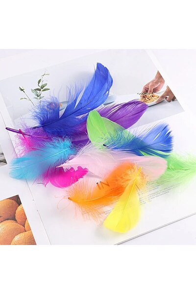 Choice14 ١٠٠ قطعة من ريش الإوز C2، ١٠٠ قطعة من ريش الإوز للأعمال اليدوية، ٨-١...