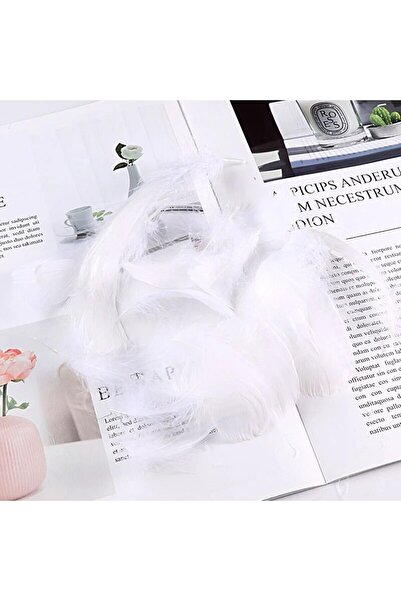 Choice15 ١٠٠ قطعة من ريش الإوز C3 للأعمال اليدوية، ٨-١٢ سم، ريش بجعة، إكسسوار...