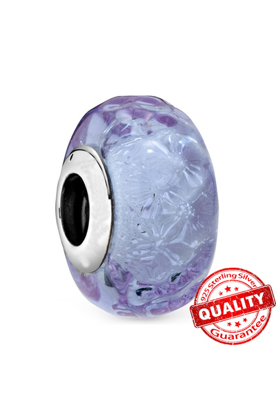 Choice30 LLZ010-PP Murano Glass Series 925 Sterling Silver Curved Feathers & ...