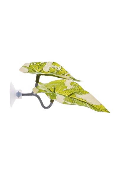 choice2 Y18 ورقة بلاستيكية لراحة سمكة بيتا، أوراق لوتس صناعية/مسند أوراق صناع...