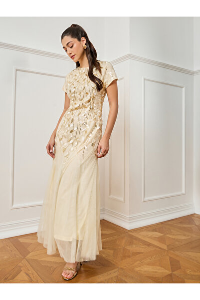 Styli فستان ماكسي بيج مطرّز من قماش شبكي بتصميم A-قَصّة على شكل A للنساء