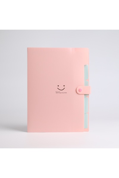 Choice4 Pink 5page Classic Accordion File Folders - A4 Dument Storage Bags wi...