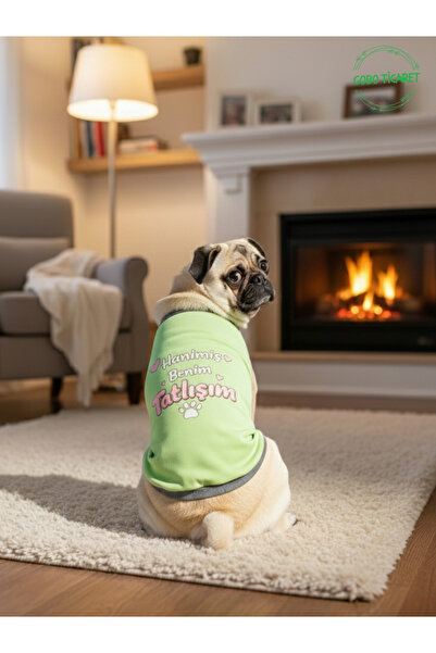 Gobo Yeşil Hanimiş Benim Tatlışım Baskılı Kedi ve Köpek Kıyafeti Tişörtü Elbisesi XSMALL/XS/Beden 0