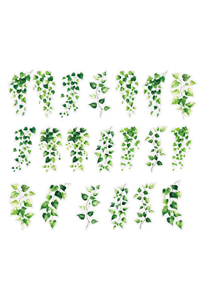 Choice3 C 20 قطعة من ملصقات أوراق نباتية من مادة PET، ملصقات لتزيين دفاتر الق...