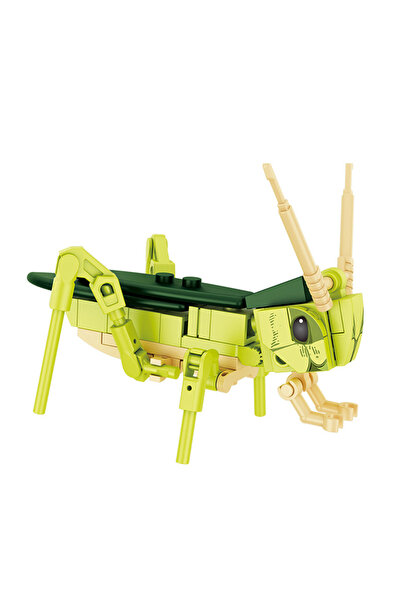 Choice3 FC8150-12 حديقة خضراوات مزرعة المدينة حيوانات لطيفة حشرة يعسوب عنكبوت...