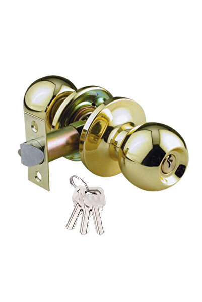 Choice1 مقابض أبواب عالمية مطورة باللون الذهبي، مناسبة لغرف النوم والمعيشة وا...