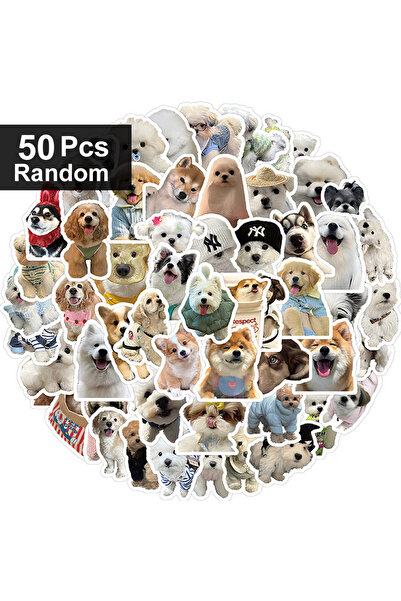 Choice1 ٥٠ قطعة عشوائية من ١٠/١٠٠ ملصقات كلاب مرحة وعصرية، ملصقات كرتونية لطي...