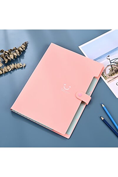 Choice9 Pink A4 Multi-Layer Folder File Bag Candy Color Five Grid Organ Bags ...